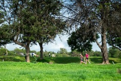 ARV_SanGil202407-005